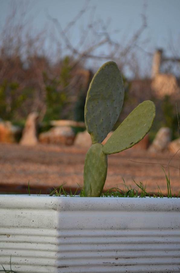 Masseria Poli Country House Conversano Luaran gambar